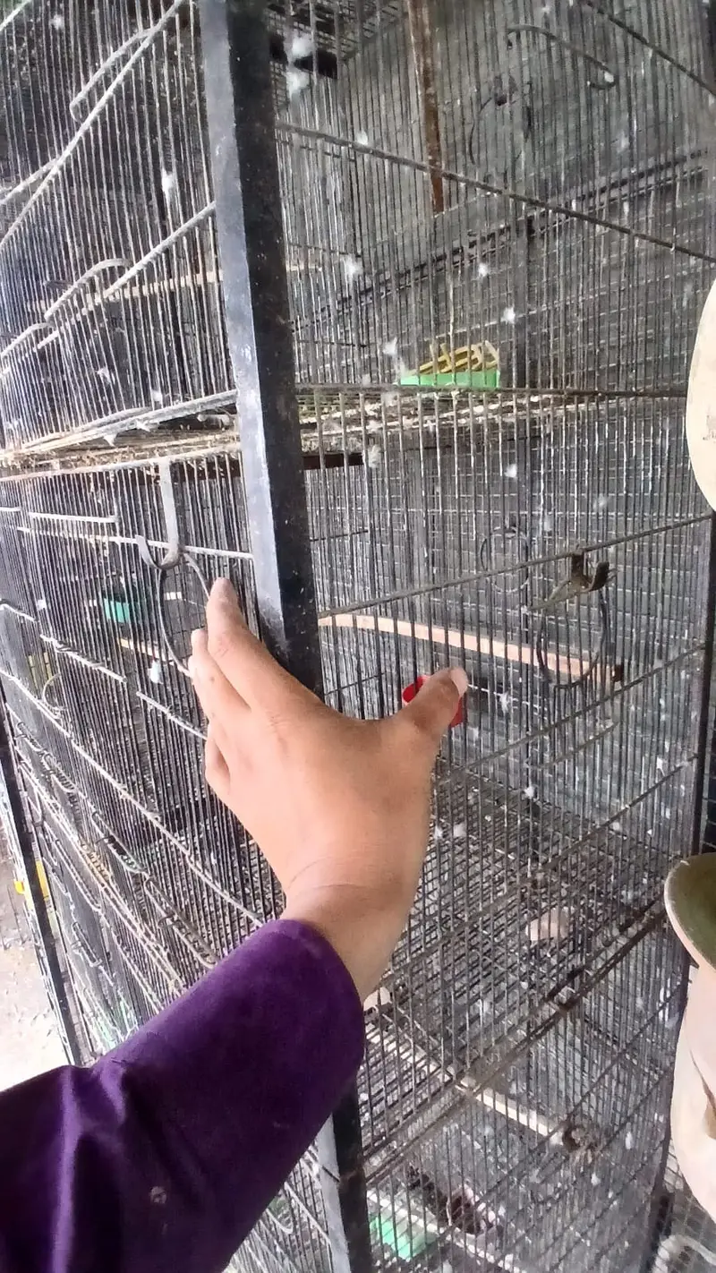 jahangir made heavy 10 portion cages with trays — photo 9