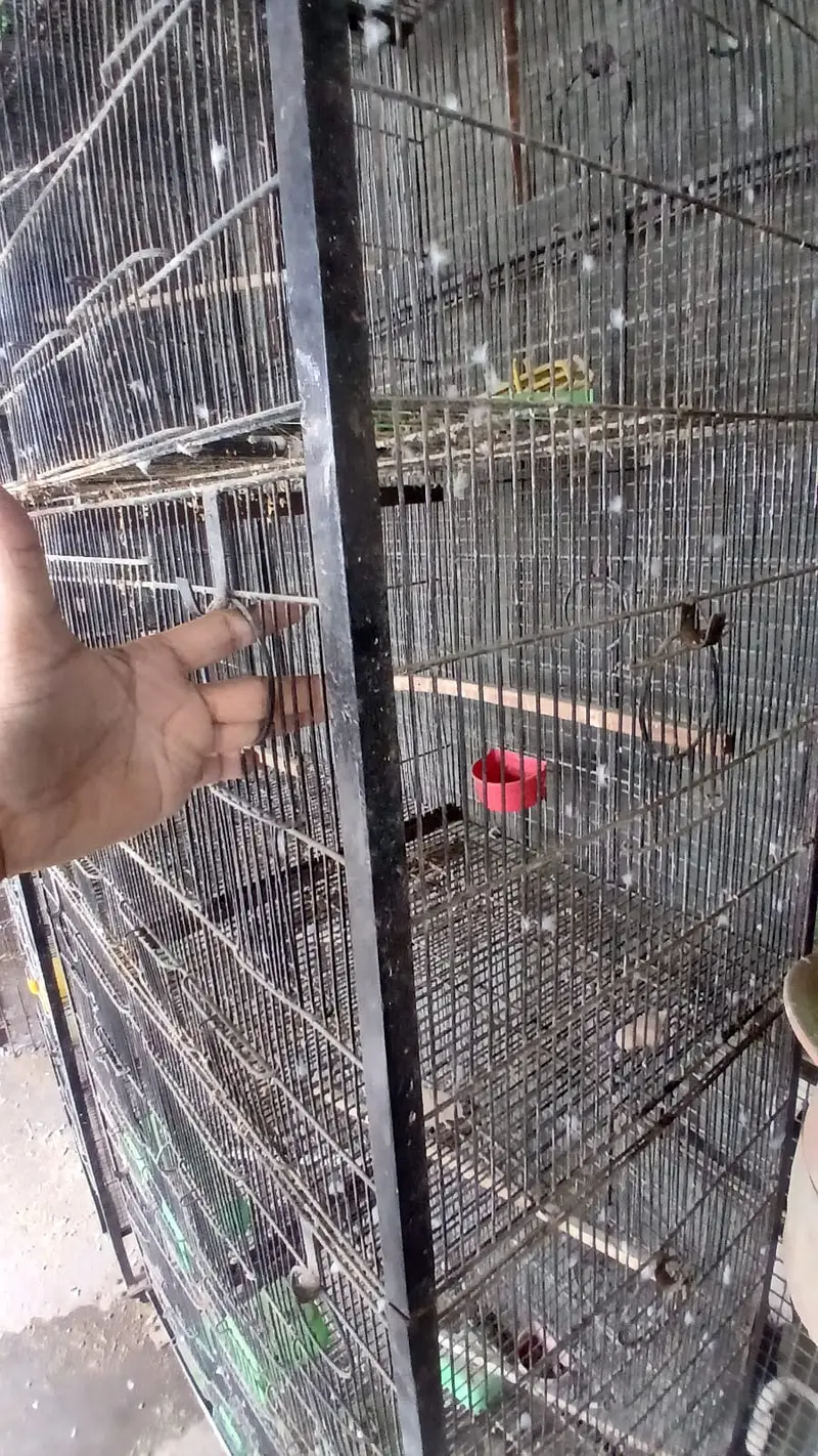 jahangir made heavy 10 portion cages with trays — photo 10