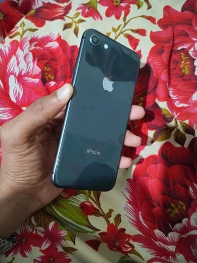 iPhone 8.64Gb non pta cheapest price sargodha