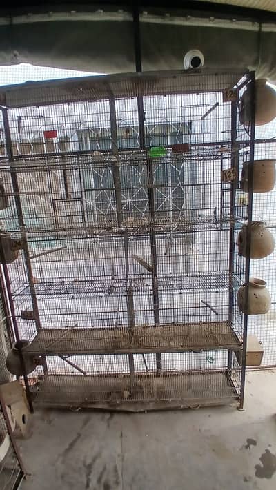 jahangir made heavy 10 portion cages with trays