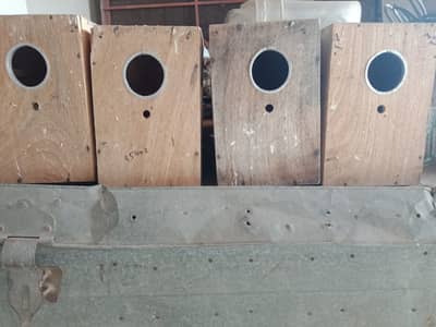 Fisher parrots box and matkii