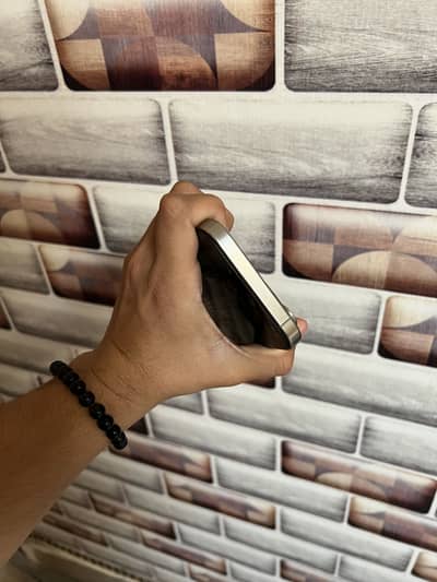 iphone 15 pro max with dual sim tray 10/10