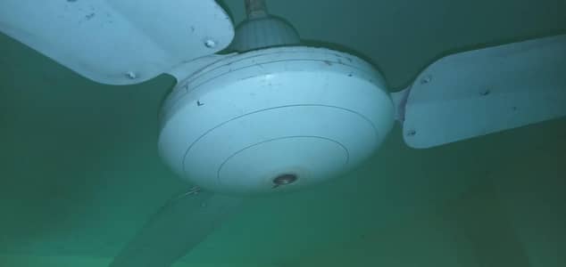 ceiling fan for sale