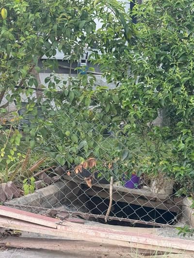 E Block 10 Marla plot available for sale