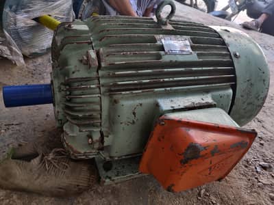 Three Phase Motor Teco