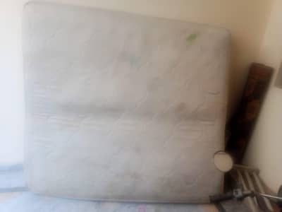 molty foam spring mattress