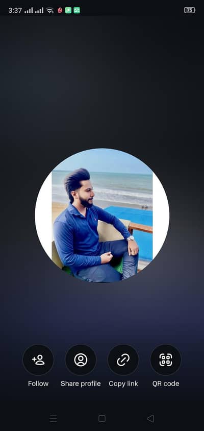 Arhamcatu  Cute & Healthy Cat for Sale – Friendly & Playful 