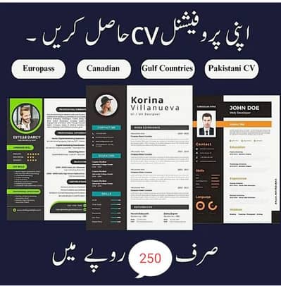 get your professional Cv in 250 pkr