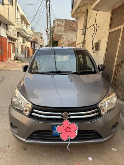 Suzuki cultas vxl 2018