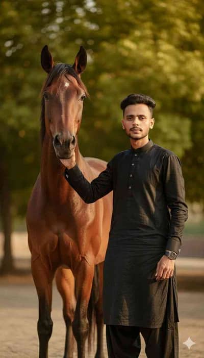 Maviya Qureshi