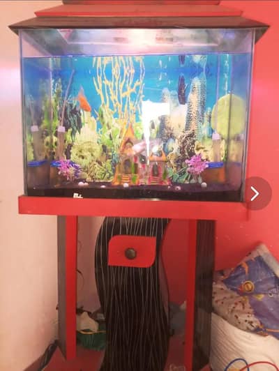 2.5 fit Aquarium complete new karachi