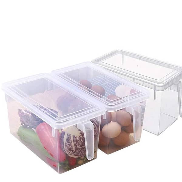 Fridge Plastic Food Storage Container with Lid and Handle – Multi-Use Organizer for Kitchen, Fridge, Freezer, Desk and Cabinet