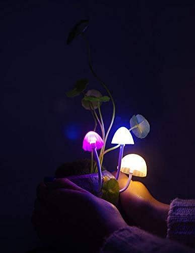 Mushroom Lamp with Automatic Sensor and Multicolor LED