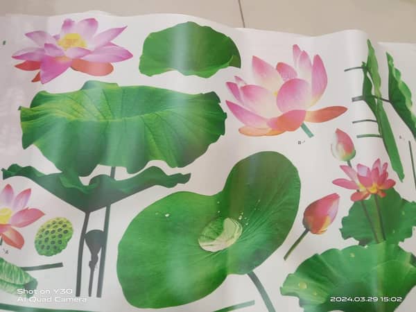 Lotus Flower Wall Sticker 3D Vivid Self-Adhesive Indoor Plant Art