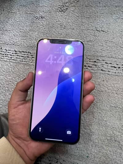 iphone 12 pro max non pta