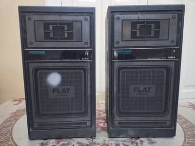 Fllat aiwa woofer 50 watts japan made