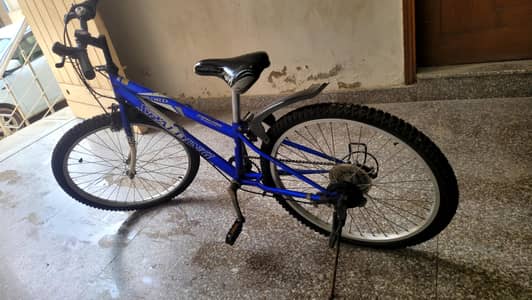 janpense bicycle new tires