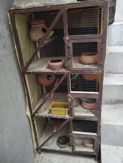 Healthy & Active pair