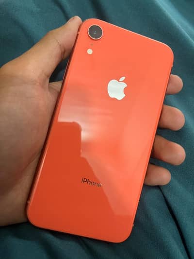 Iphone Xr 10/10 Waterpack
