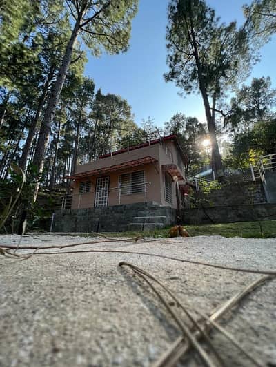 Ideally Located Residential Plot For Sale In New Murree Available