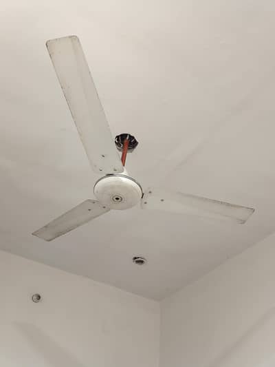 selling fan urgent sale