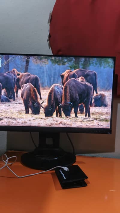 ThinkVision Bezel less Monitor 1080p/75hz