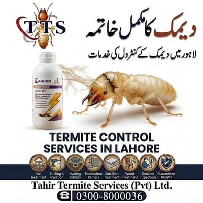 Termite Deemak Pest Control Fumigation Services in Lahore