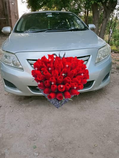 Toyota Corolla 2010 madal