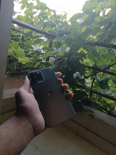 iphone 13 pro max Factory unlock (256 gb]