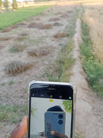 iPhone 6s plus. 64/ month sim chalegi. agar call karni hai to is number