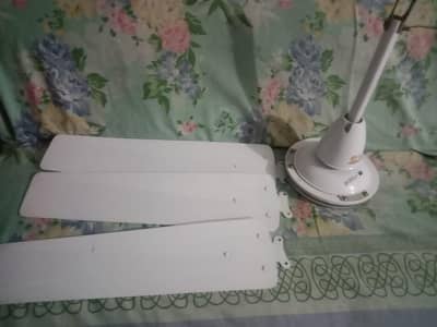 I'm selling my fan I