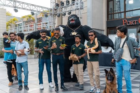 Exotic Pet show in Your Events