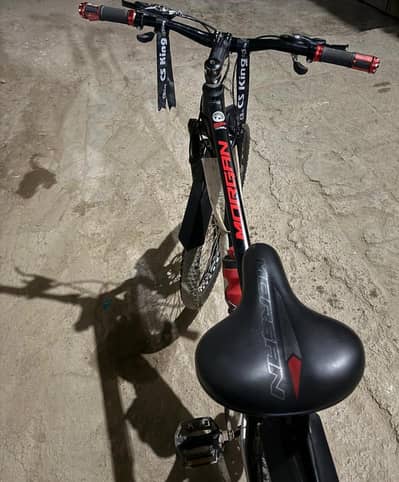 Morgan 29 inch bicycle