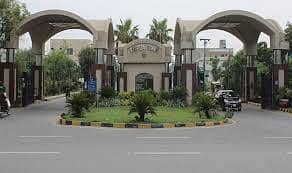 Office Boy (Night Shift)