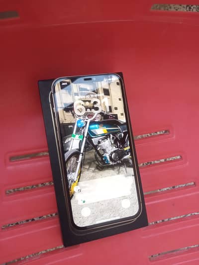 12 PRO MAX 256 APPROVED