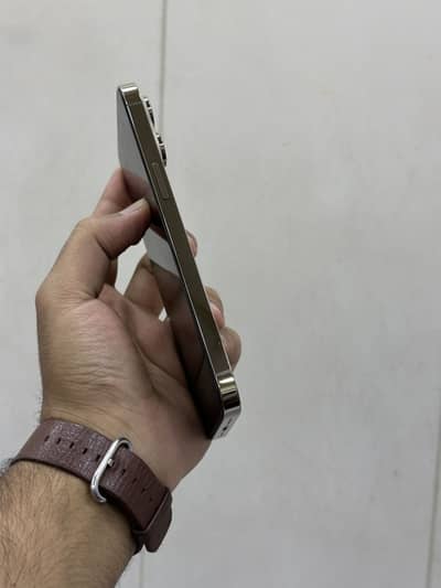 14 Pro Max 256 GB PTA