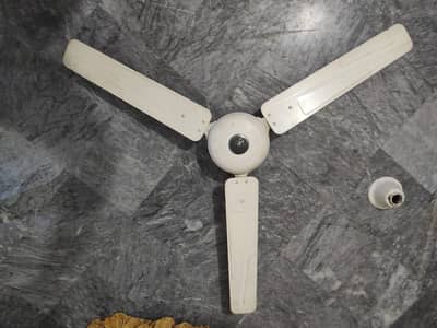 Ceiling fan