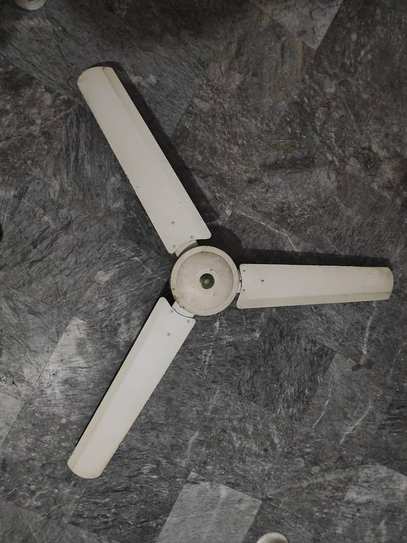 Ceiling fan 1