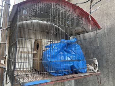 Big size multipurpose cage with big breeding box
