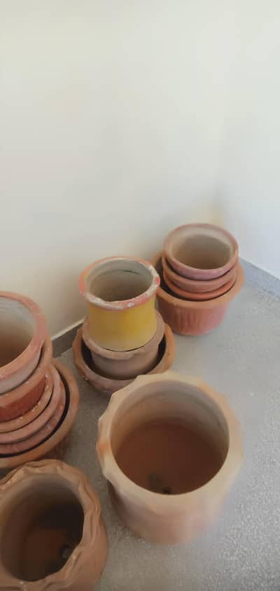 plant Pots