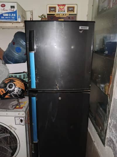 Fridge medium size