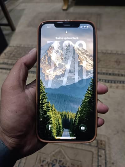 12pro max pta approved