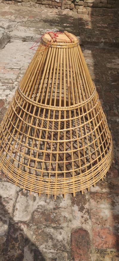 Murgha Tokra Available For Sale