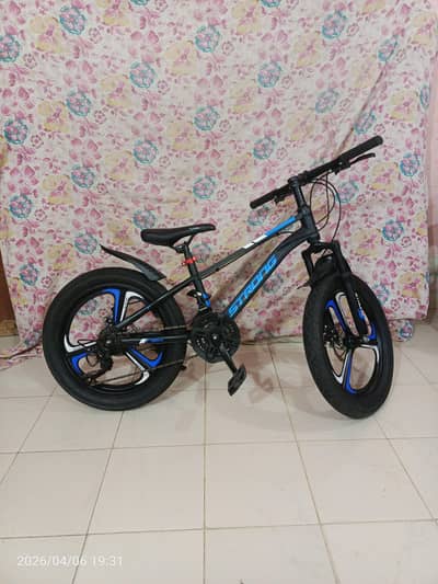 Like new 10 gear Bicycle for sale