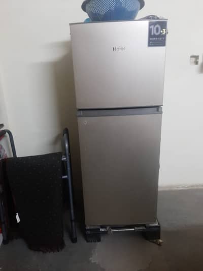Hair Fridge for sale 10 year Warranty
