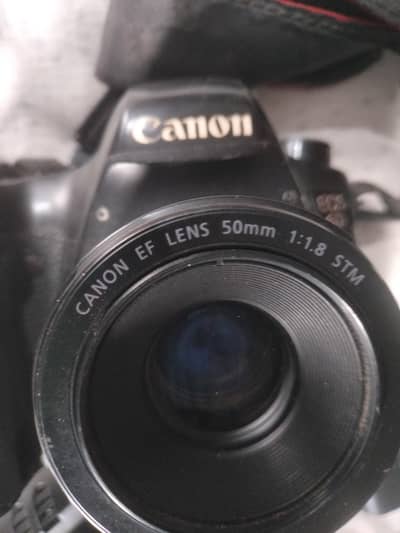 canon. 6 d 50 mm lence stm 1.8