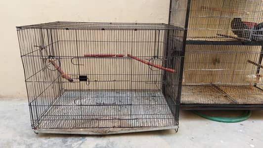 Colony Cage Master