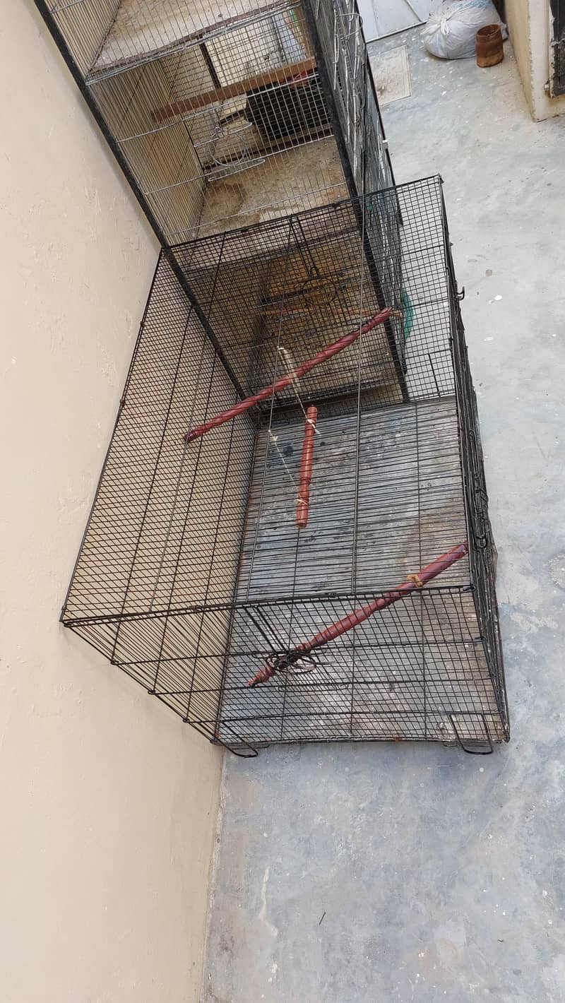 Colony Cage Master 1