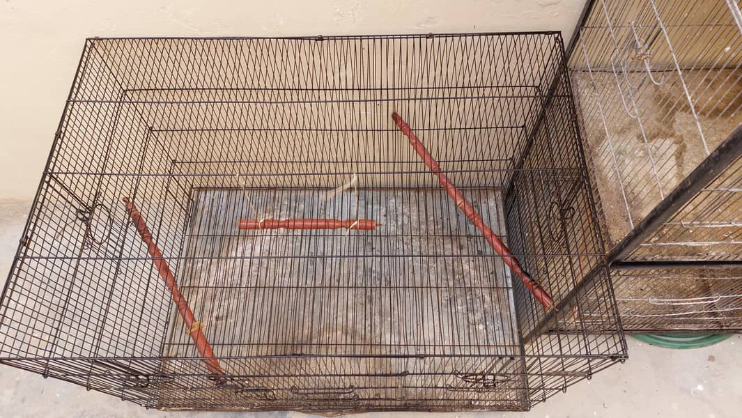 Colony Cage Master 2