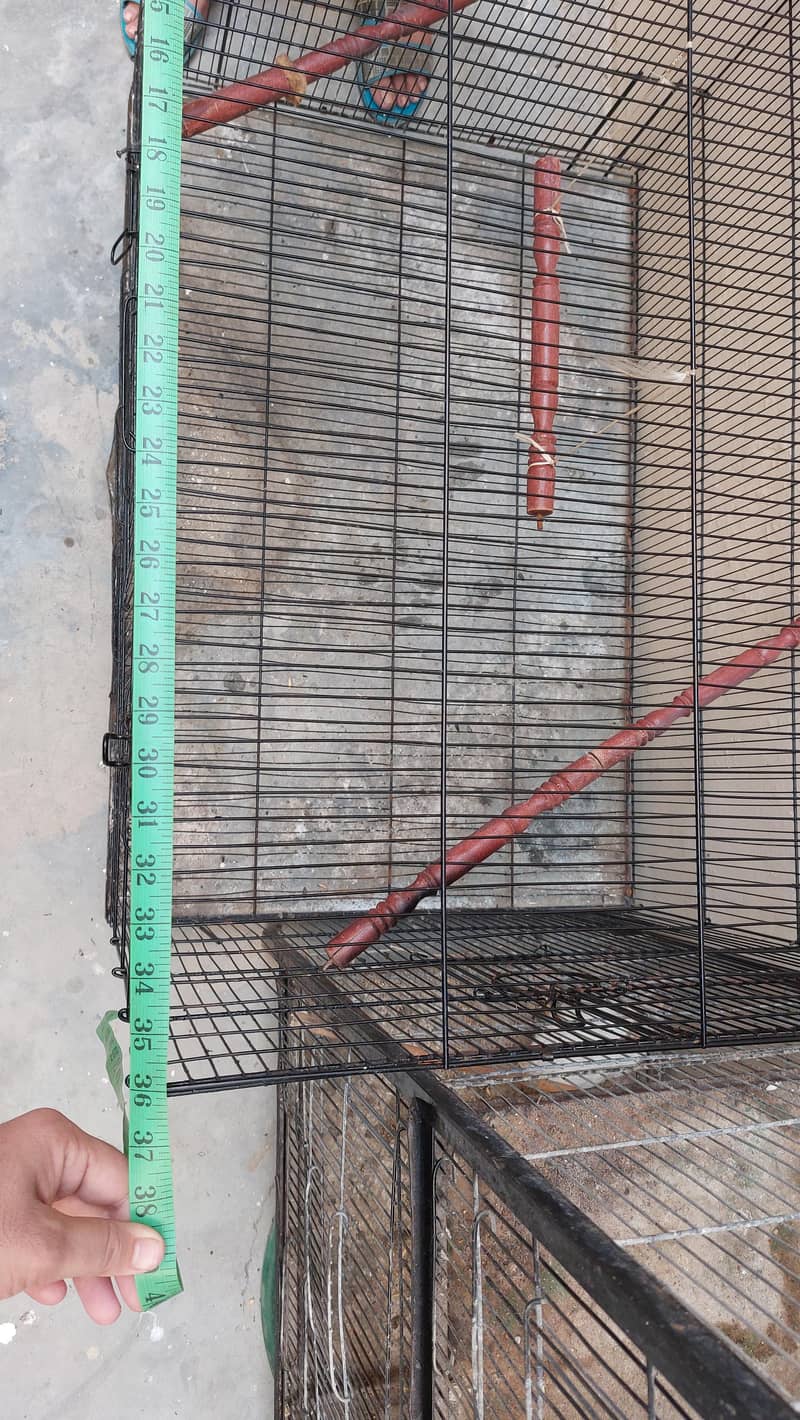 Colony Cage Master 4